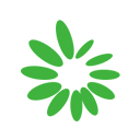 撸啊撸在线视频